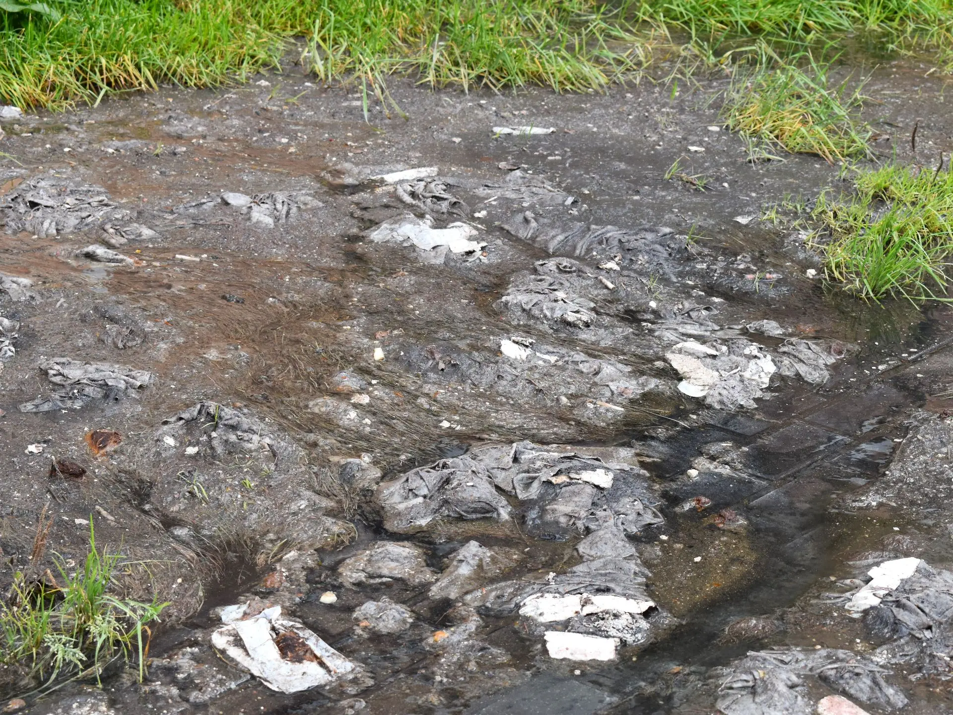 Влажные салфетки, памперсы и строительный мусор: в «Водоканале» показали, что калининградцы выбрасывают в канализацию Влажные салфетки, памперсы и строительный мусор: в «Водоканале» показали, что калининградцы выбрасывают в канализацию